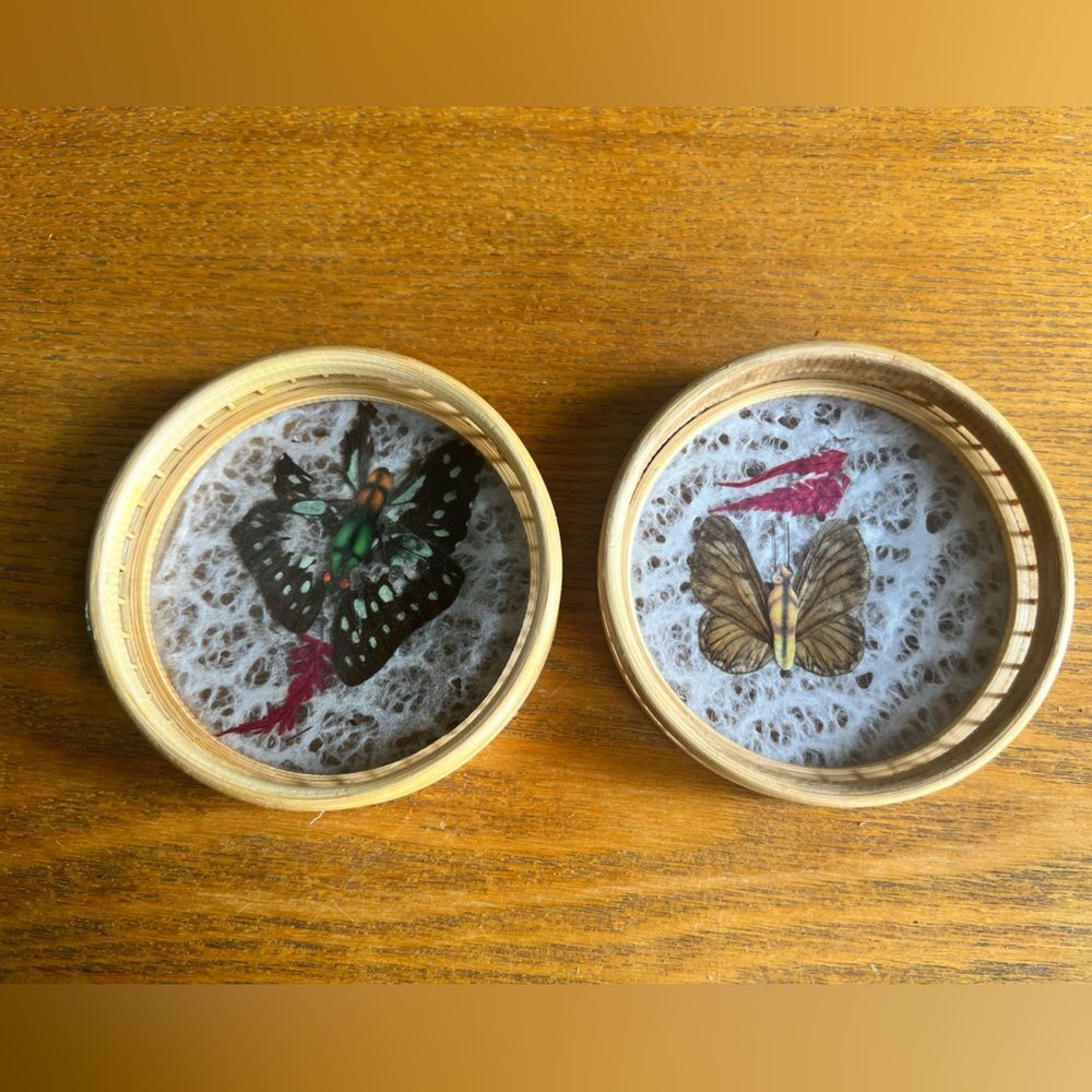 Pressed Butterfly Bamboo Coasters (2pc)
